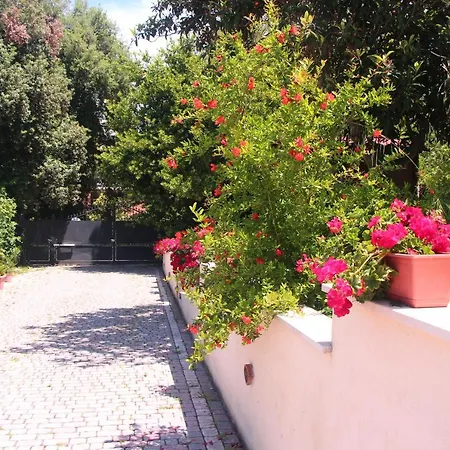 La Terrazza Di Nocleg ze śniadaniem