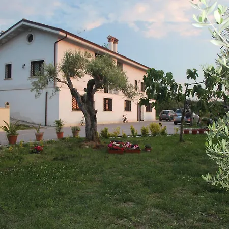 Bed & Breakfast La Terrazza Di Frascati