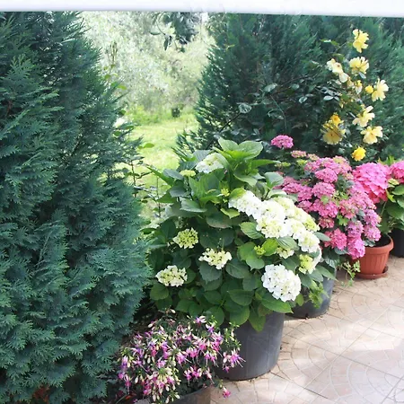 La Terrazza Di * Frascati